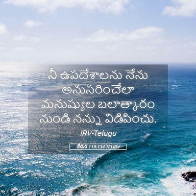 Picture 05 - కీర్తన 119:134 TELIRV - నీ ఉపదేశాలను నేను - Bible Verse Picture
