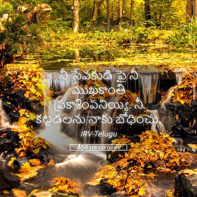 Picture 05 - కీర్తన 119:135 TELIRV - నీ సేవకుడి పై నీ - Bible Verse Picture