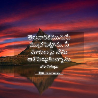 Picture 05 - కీర్తన 119:147 TELIRV - తెల్లవారకమునుపే - Bible Verse Picture