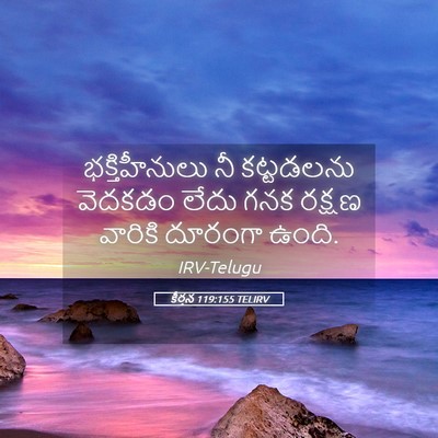 Picture 05 - కీర్తన 119:155 TELIRV - భక్తిహీనులు నీ - Bible Verse Picture