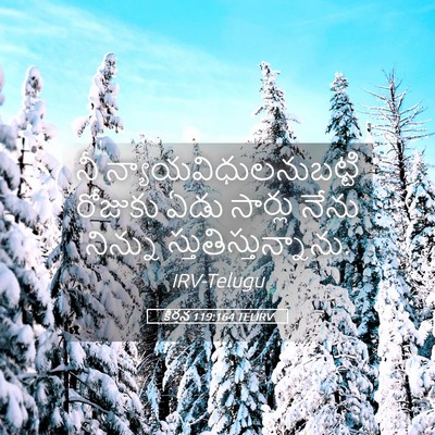 Picture 05 - కీర్తన 119:164 TELIRV - నీ - Bible Verse Picture
