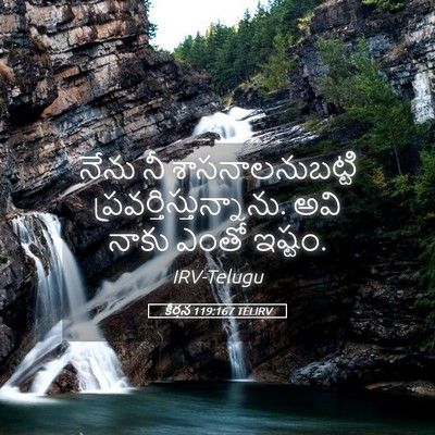 Picture 05 - కీర్తన 119:167 TELIRV - నేను నీ - Bible Verse Picture