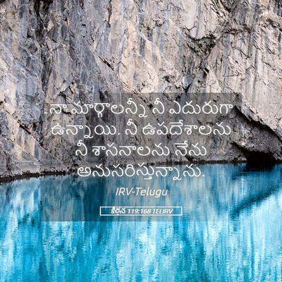Picture 05 - కీర్తన 119:168 TELIRV - నా మార్గాలన్నీ నీ - Bible Verse Picture