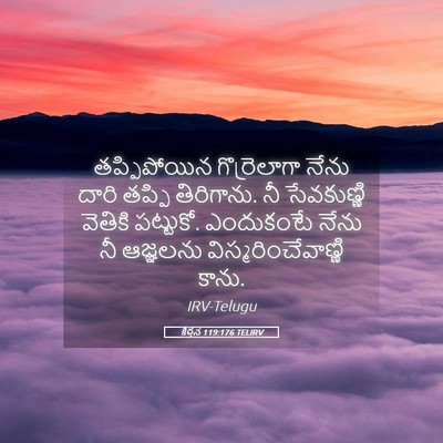 Picture 05 - కీర్తన 119:176 TELIRV - తప్పిపోయిన - Bible Verse Picture