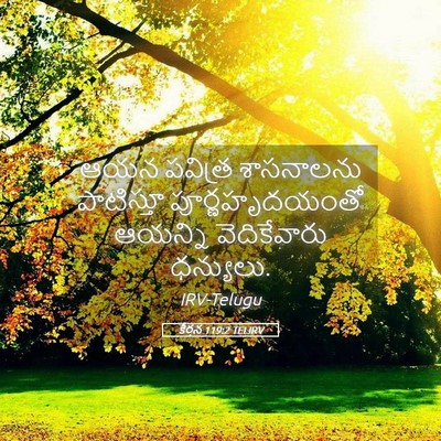 Picture 05 - కీర్తన 119:2 TELIRV - ఆయన పవిత్ర - Bible Verse Picture