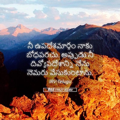 Picture 05 - కీర్తన 119:27 TELIRV - నీ ఉపదేశమార్గం - Bible Verse Picture
