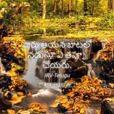 Picture 05 - కీర్తన 119:3 TELIRV - వారు ఆయన బాటలో - Bible Verse Picture