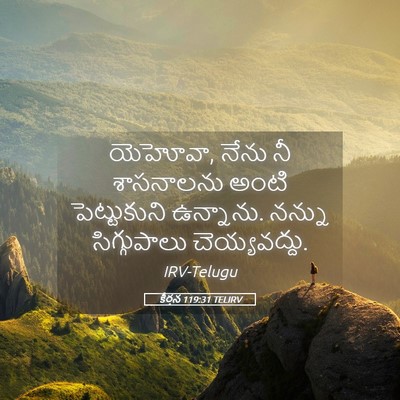 Picture 05 - కీర్తన 119:31 TELIRV - యెహోవా, నేను నీ - Bible Verse Picture