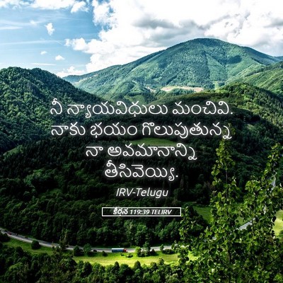 Picture 05 - కీర్తన 119:39 TELIRV - నీ న్యాయవిధులు - Bible Verse Picture