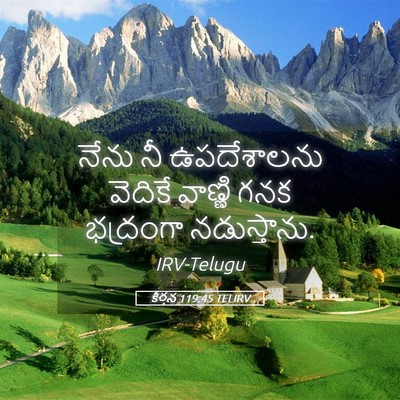 Picture 05 - కీర్తన 119:45 TELIRV - నేను నీ ఉపదేశాలను - Bible Verse Picture