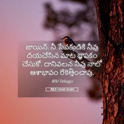Picture 05 - కీర్తన 119:49 TELIRV - జాయిన్‌. నీ - Bible Verse Picture