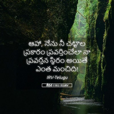 Picture 05 - కీర్తన 119:5 TELIRV - ఆహా, నేను నీ చట్టాల - Bible Verse Picture