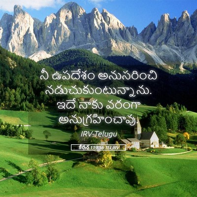 Picture 05 - కీర్తన 119:56 TELIRV - నీ ఉపదేశం - Bible Verse Picture