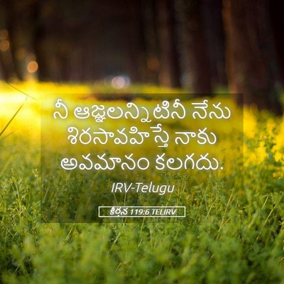 Picture 05 - కీర్తన 119:6 TELIRV - నీ ఆజ్ఞలన్నిటినీ - Bible Verse Picture
