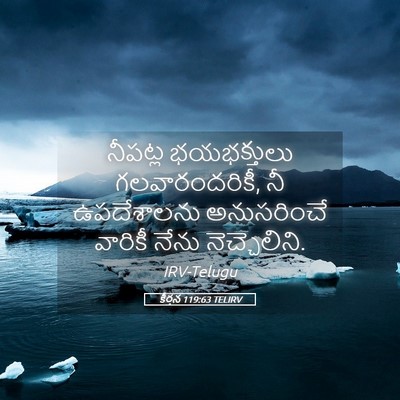 Picture 05 - కీర్తన 119:63 TELIRV - నీపట్ల భయభక్తులు - Bible Verse Picture