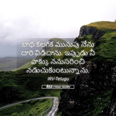 Picture 05 - కీర్తన 119:67 TELIRV - బాధ కలగక మునుపు - Bible Verse Picture