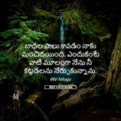 Picture 05 - కీర్తన 119:71 TELIRV - బాధల పాలు కావడం - Bible Verse Picture