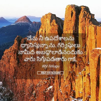Picture 05 - కీర్తన 119:78 TELIRV - నేను నీ ఉపదేశాలను - Bible Verse Picture