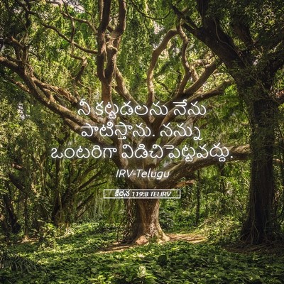 Picture 05 - కీర్తన 119:8 TELIRV - నీ కట్టడలను నేను - Bible Verse Picture