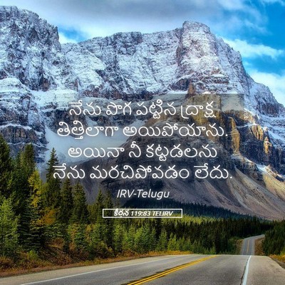 Picture 05 - కీర్తన 119:83 TELIRV - నేను పొగ పట్టిన - Bible Verse Picture