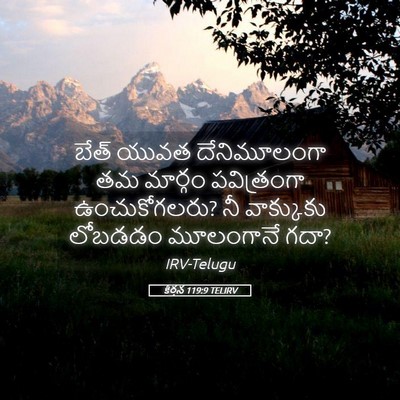 Picture 05 - కీర్తన 119:9 TELIRV - బేత్‌ యువత - Bible Verse Picture