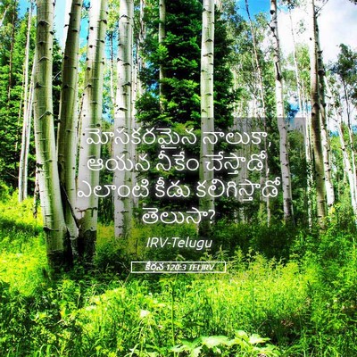Picture 05 - కీర్తన 120:3 TELIRV - మోసకరమైన నాలుకా, - Bible Verse Picture