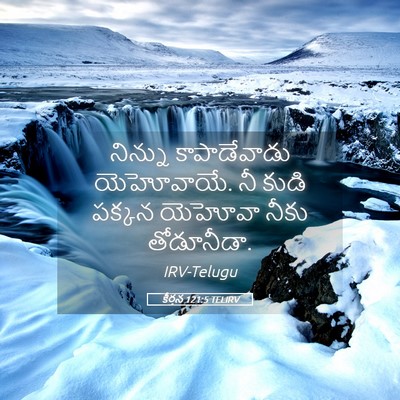 Picture 05 - కీర్తన 121:5 TELIRV - నిన్ను కాపాడేవాడు - Bible Verse Picture