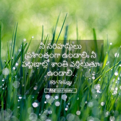 Picture 05 - కీర్తన 122:7 TELIRV - నీ సరిహద్దులు - Bible Verse Picture