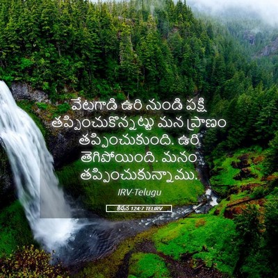 Picture 05 - కీర్తన 124:7 TELIRV - వేటగాడి ఉరి నుండి - Bible Verse Picture