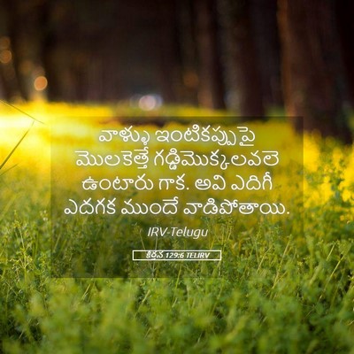 Picture 05 - కీర్తన 129:6 TELIRV - వాళ్ళు - Bible Verse Picture