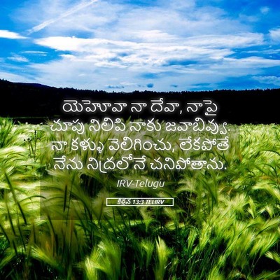 Picture 05 - కీర్తన 13:3 TELIRV - యెహోవా నా దేవా, - Bible Verse Picture