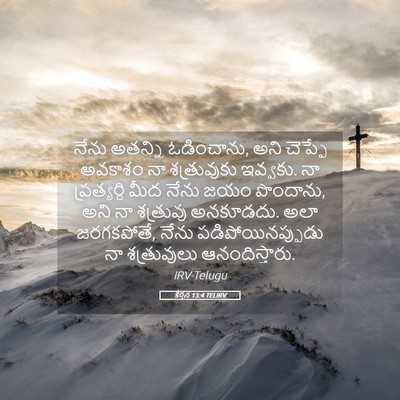 Picture 05 - కీర్తన 13:4 TELIRV - నేను అతన్ని - Bible Verse Picture