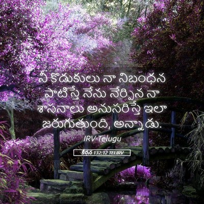 Picture 05 - కీర్తన 132:12 TELIRV - నీ కొడుకులు నా - Bible Verse Picture