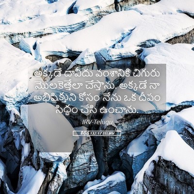 Picture 05 - కీర్తన 132:17 TELIRV - అక్కడే దావీదు - Bible Verse Picture
