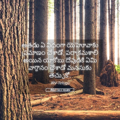 Picture 05 - కీర్తన 132:2 TELIRV - అతడు ఏ విధంగా - Bible Verse Picture