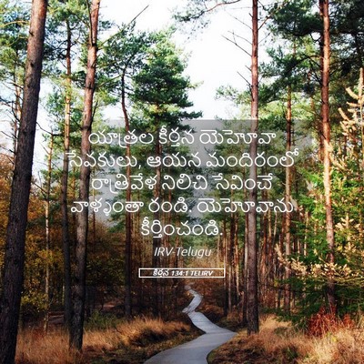 Picture 05 - కీర్తన 134:1 TELIRV - యాత్రల కీర్తన - Bible Verse Picture