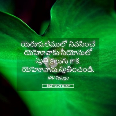 Picture 05 - కీర్తన 135:21 TELIRV - యెరూషలేములో - Bible Verse Picture
