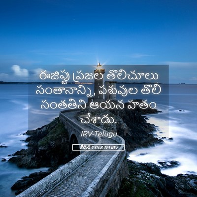 Picture 05 - కీర్తన 135:8 TELIRV - ఈజిప్టు ప్రజల - Bible Verse Picture