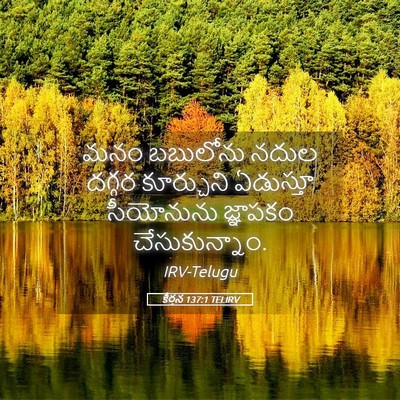 Picture 05 - కీర్తన 137:1 TELIRV - మనం బబులోను నదుల - Bible Verse Picture