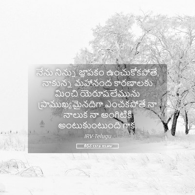 Picture 05 - కీర్తన 137:6 TELIRV - నేను నిన్ను - Bible Verse Picture