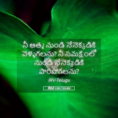 Picture 05 - కీర్తన 139:7 TELIRV - నీ ఆత్మ నుండి - Bible Verse Picture