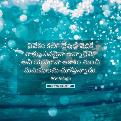 Picture 05 - కీర్తన 14:2 TELIRV - వివేకం కలిగి - Bible Verse Picture