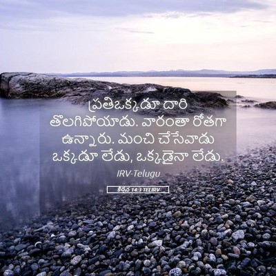 Picture 05 - కీర్తన 14:3 TELIRV - ప్రతిఒక్కడూ దారి - Bible Verse Picture