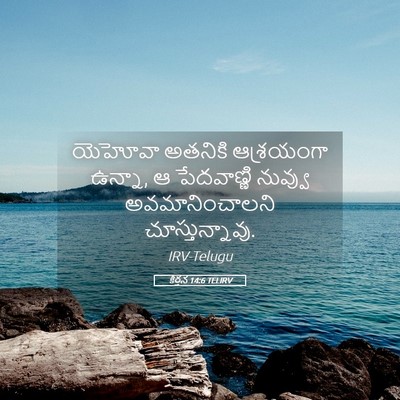 Picture 05 - కీర్తన 14:6 TELIRV - యెహోవా అతనికి - Bible Verse Picture
