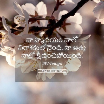Picture 05 - కీర్తన 143:4 TELIRV - నా హృదయం నాలో - Bible Verse Picture
