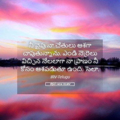 Picture 05 - కీర్తన 143:6 TELIRV - నీ వైపు నా చేతులు - Bible Verse Picture