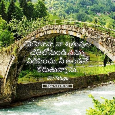 Picture 05 - కీర్తన 143:9 TELIRV - యెహోవా, నా - Bible Verse Picture