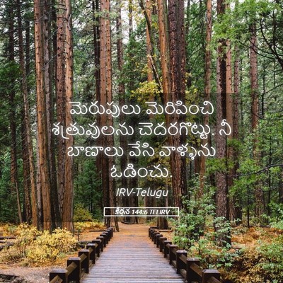 Picture 05 - కీర్తన 144:6 TELIRV - మెరుపులు - Bible Verse Picture