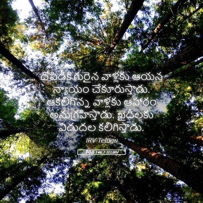 Picture 05 - కీర్తన 146:7 TELIRV - దోపిడీకి గురైన - Bible Verse Picture