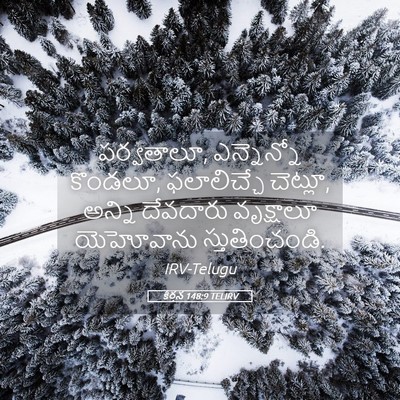 Picture 05 - కీర్తన 148:9 TELIRV - పర్వతాలూ, - Bible Verse Picture